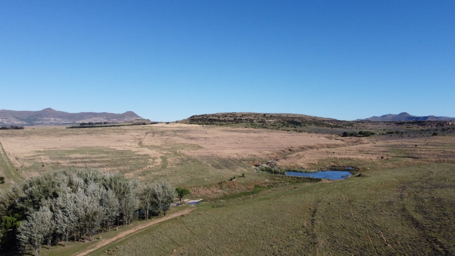 Commercial Property for Sale in Paul Roux Free State